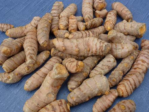 Curcuma 195