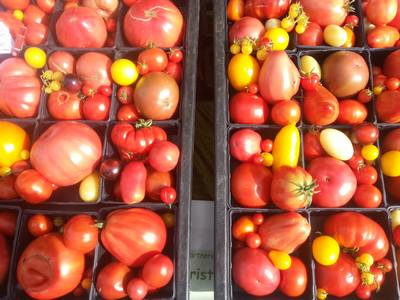 Herb Tomaten