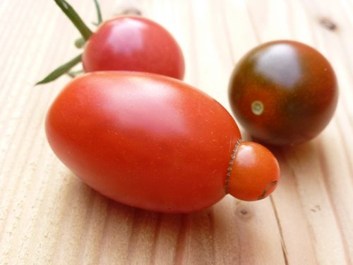 Tomate Kegel 001
