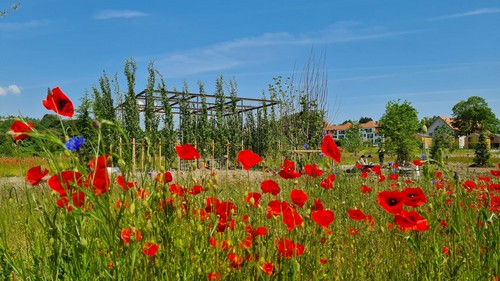 LGSWangen ventilatorengarten tarjapruess