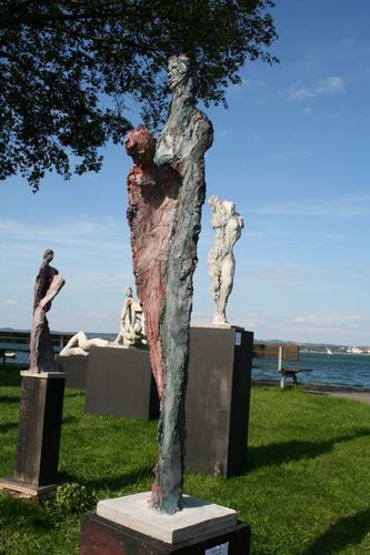 IMG 9781