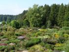 Der grosse Schaugarten und Mutterpflanzen-Acker