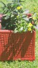 SABINE klein - Glasur Spanisch rot - mit Pflanzen aus unserer DEMETER Gaertnerei