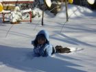 Sonnenfänger im Schnee