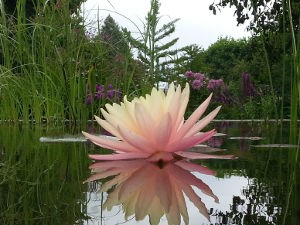 Die besten Gartentipps im Juni