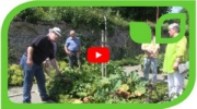 Gartenvideo des Monats - September &#039;17