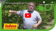 Gartenvideo des Monats - Februar &#039;19