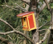 Herbstputz in der Vogelstube