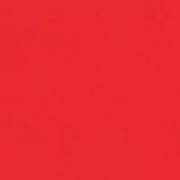 Trendfarbe 2019: Korallenrot