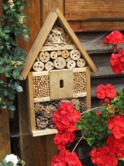 Ein Heim für Wildbienen