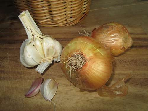 Zwiebeln stärken Tomaten