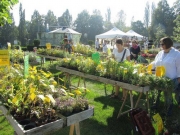 Garten-Genüsse am Bodensee