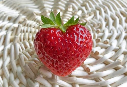 Erdbeerpflanzzeit!