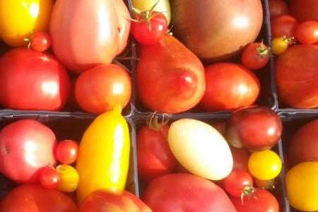 Tomaten, Paprika und Auberginen