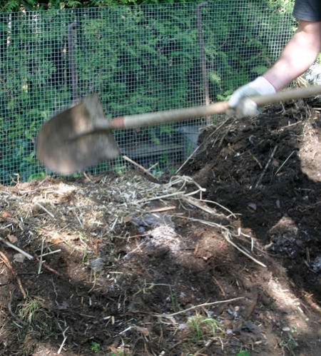 Wertvoller Rohstoff für den Garten: Mist