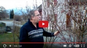 Gartenvideo des Monats (Januar)