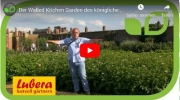 Gartenvideo des Monats - August&#039;19