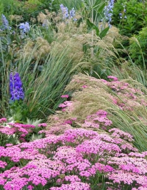 Harmonische Kombination von Gräsern, Kerzen und Schirmen: Silber-Ährengras (Stipa calamagrostis), Rittersporn und Schafgarbe.