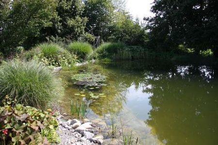 Einen Gartenteich mit Folie bauen