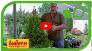 Gartenvideo des Monats - September &#039;18