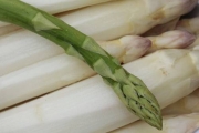 Spargel – Genuss und Heilkraft