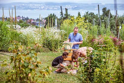 Vom Bodensee ein Katzensprung:  Altnauer Apfelweg im Thurgau